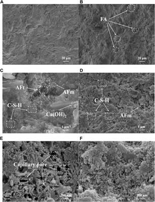 Hydration and durability of low-heat cementitious composites for dam concrete: Thermodynamic modeling and experiments